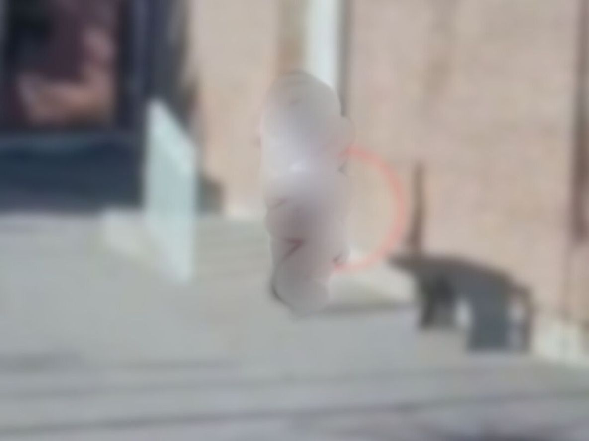 La alumna que ingresó armada a una escuela de La Paz recibió el alta y definen cómo continúa con sus estudios