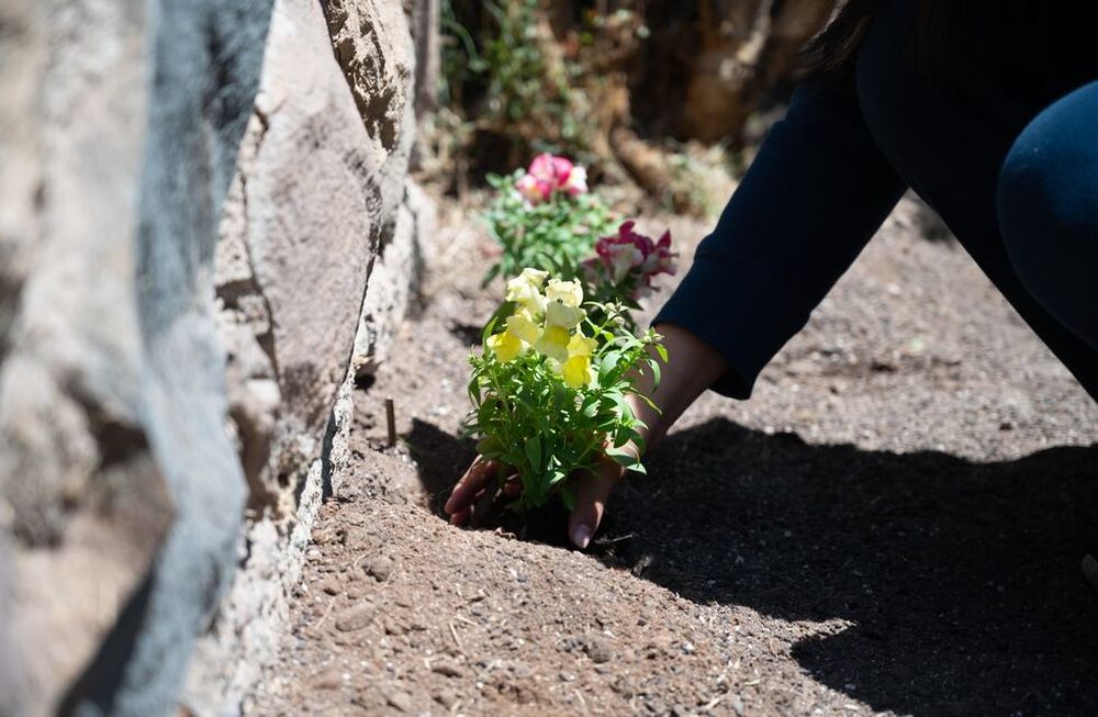 La Ciudad continúa con la actividad “Mi plaza, mi primavera”