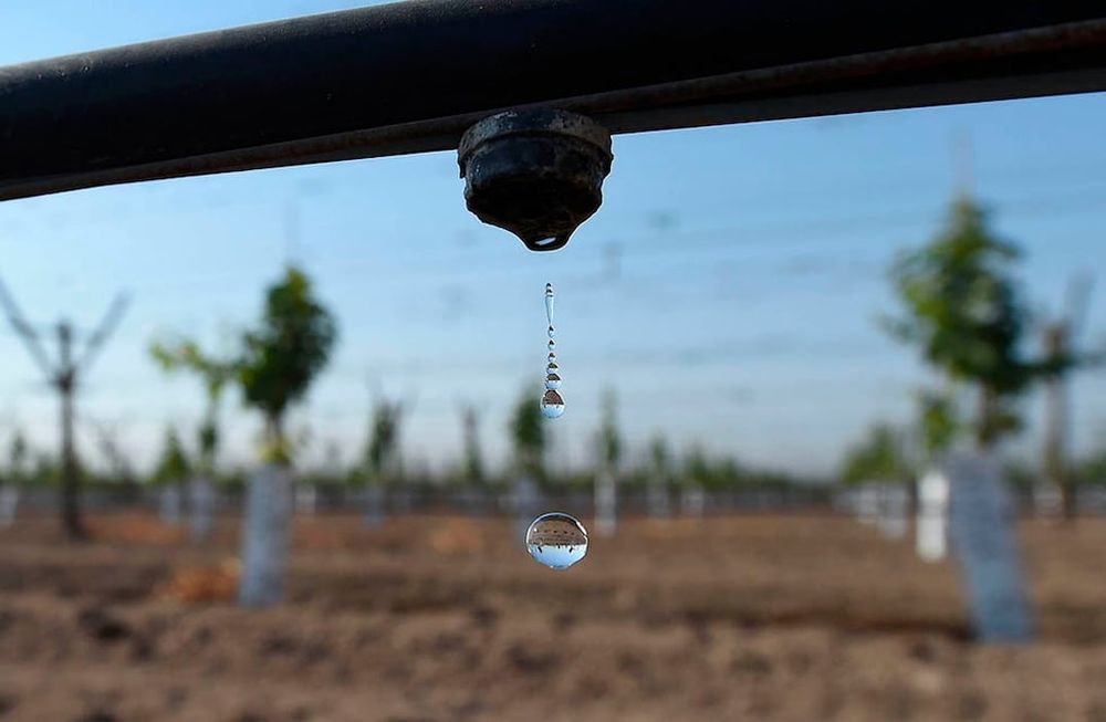 Tecnificación. Se destinaron $1.796.363.579, para desarrollar un plan riego eficiente, aplicado -entre otros- a las plantaciones de ciruela y cereza.