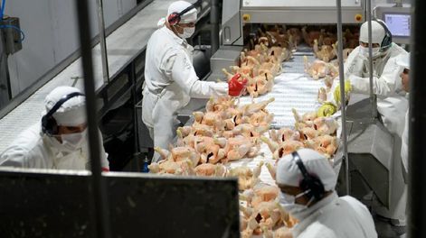 Granja Tres Arroyos cerró otra planta industrial y se encamina al cierre definitivo