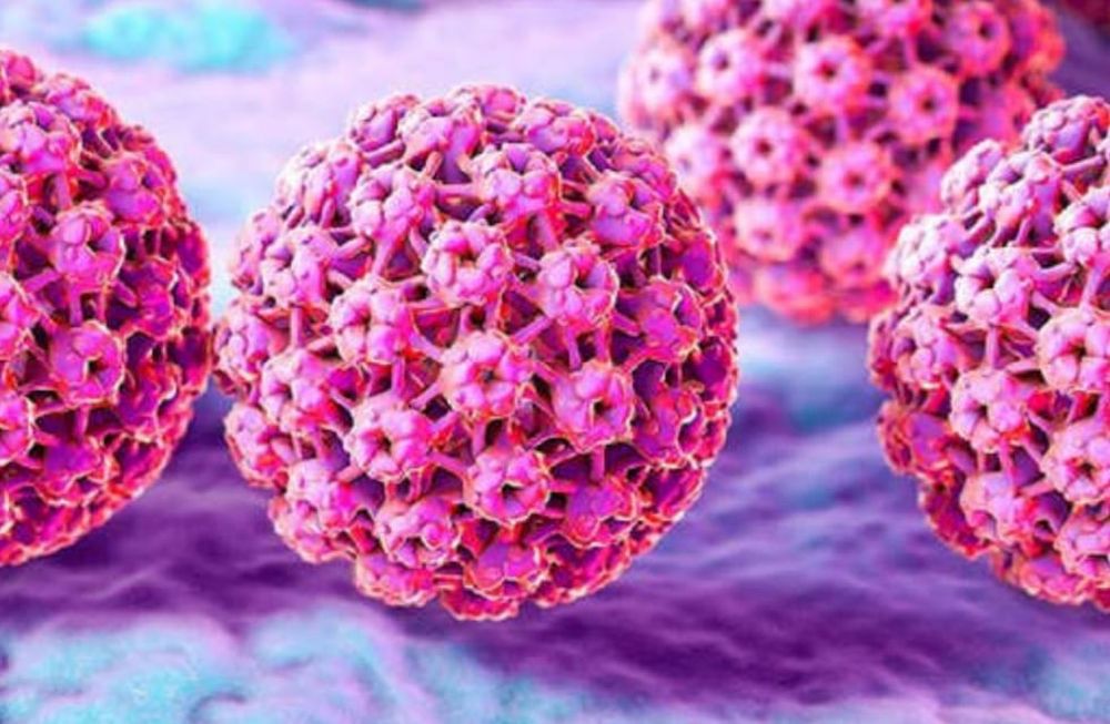 Este 4 de marzo se conmemora el Día Mundial del VPH