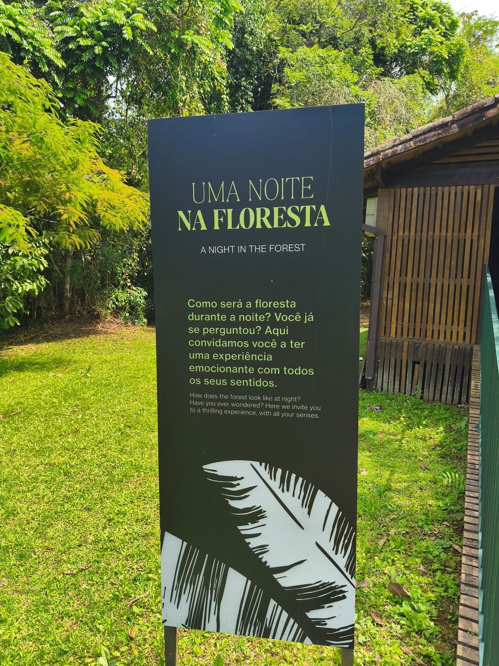 La Hacienda Bananal, una experiencia de turismo de biodiversidad que propone una inmersión en la naturaleza a pocos minutos del centro de Paraty.