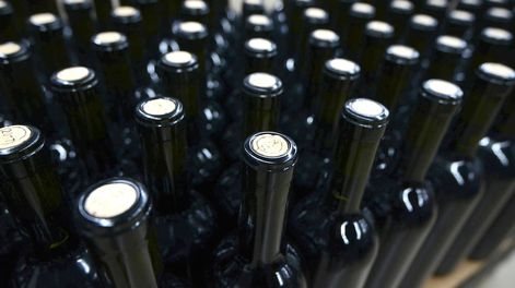 Los Andes | El objetivo de la herramienta es que el stock de vinos se mantenga entre los cuatro y los cinco meses de comercialización de forma constante, para evitar desequilibrios en el valor del vino en el mercado de traslado. / Claudio Gutiérrez