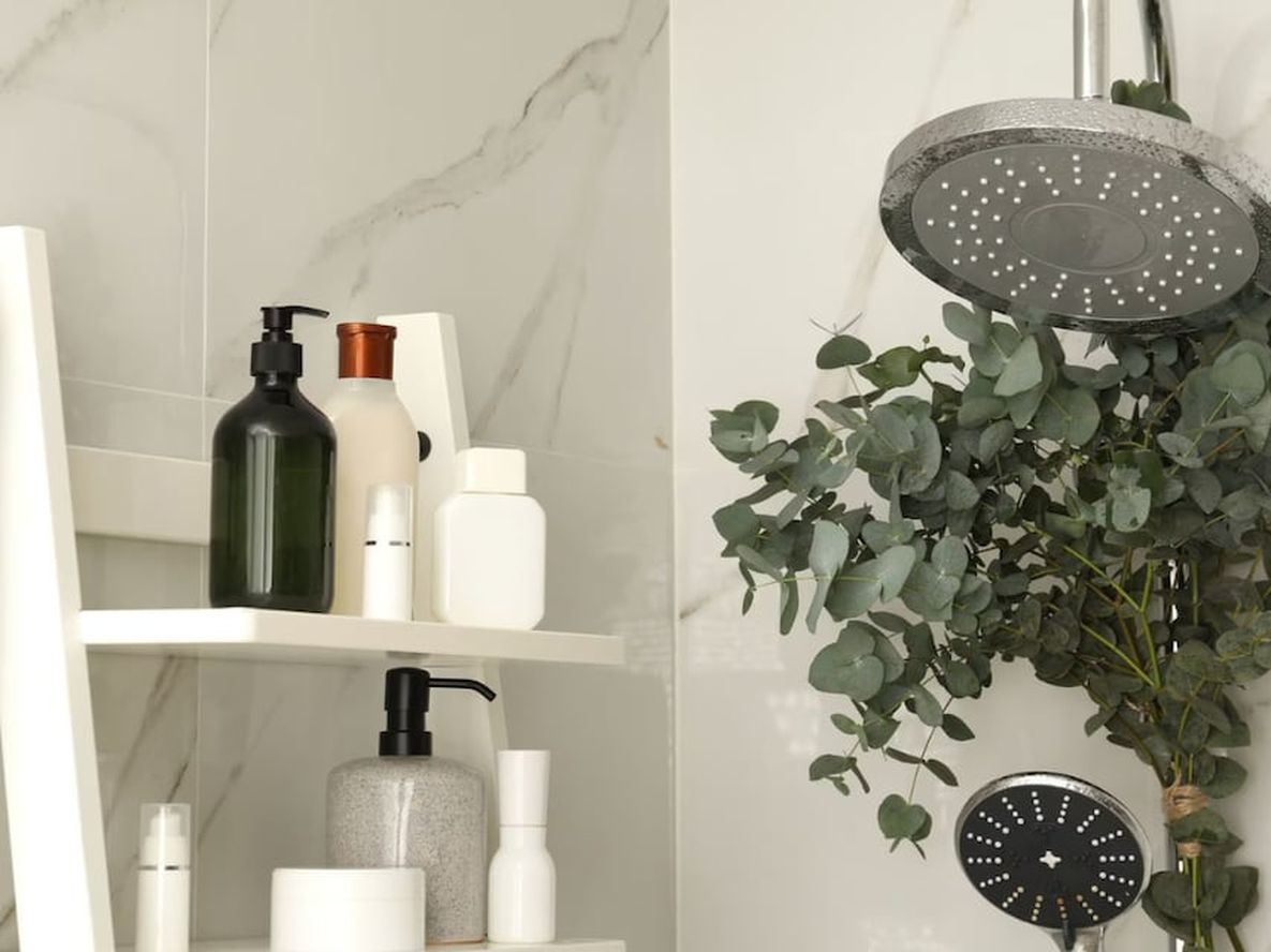 Colocar una rama de eucalipto en el baño: para qué sirve y qué beneficios tiene para la salud
