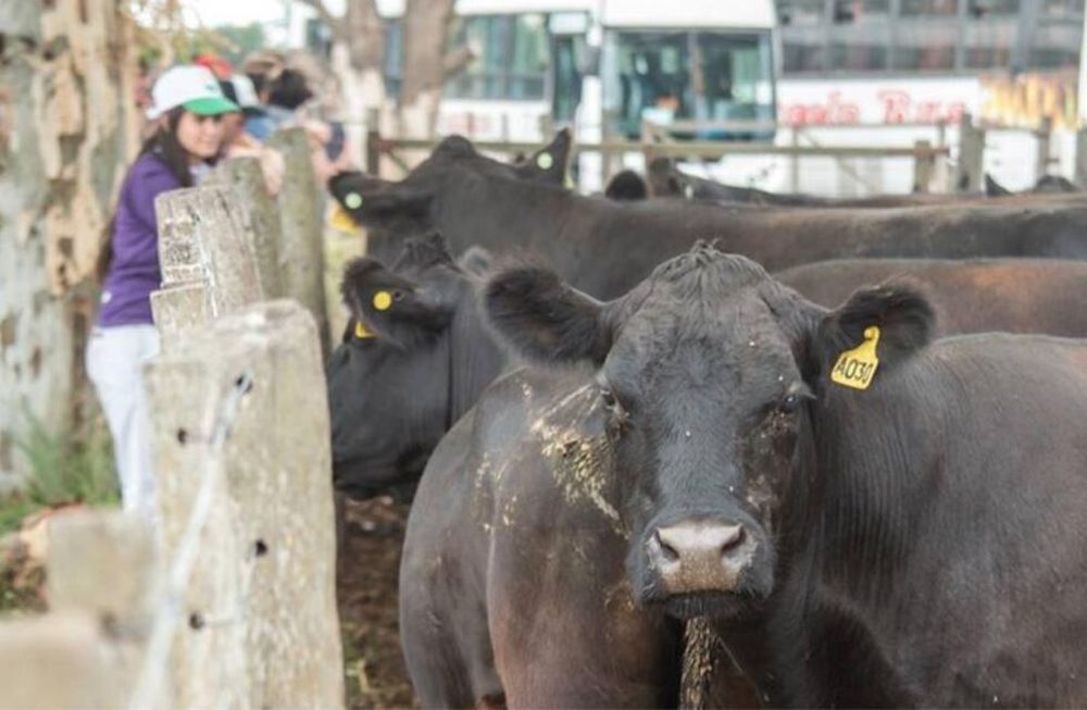 Buscan que el gobierno no le de la espalda al campo y aproveche las oportunidades conseguidas por el presidente tras su viaje al exterior.