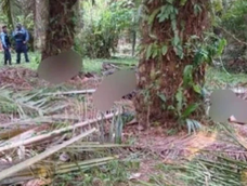 Terror en Honduras: más de 10 personas asesinadas durante una masacre en una finca