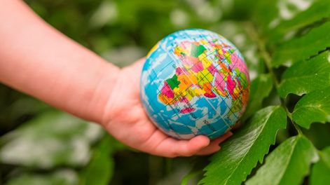 Pluralidad de miradas en torno a la educación ambiental para la diversidad biocultural