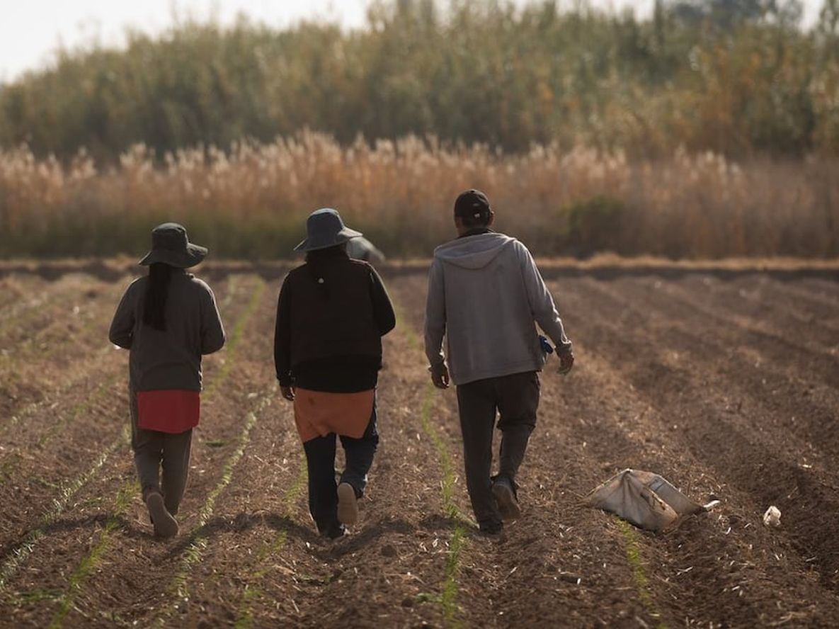 Cómo han evolucionado la pobreza, el empleo y la precariedad laboral en Mendoza en comparación con San Juan y San Luis&nbsp;