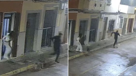 Un perro salvó a su dueña de ser secuestrada en su domicilio luego de morder al atacante.&nbsp;