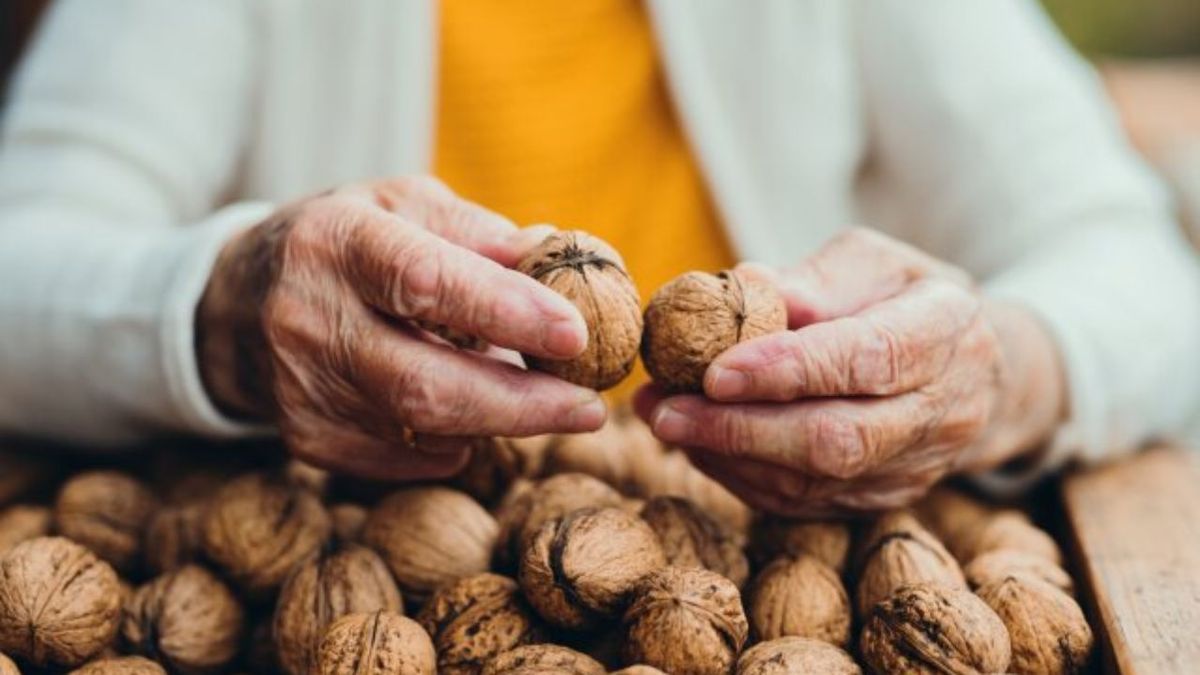 Por qué las nueces son beneficiosas para el colesterol y cuántas se recomiendan en cada comida