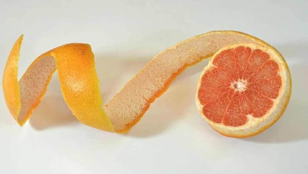Guardá las cáscaras de pomelo cómo usarlas para ahuyentar moscas (3)