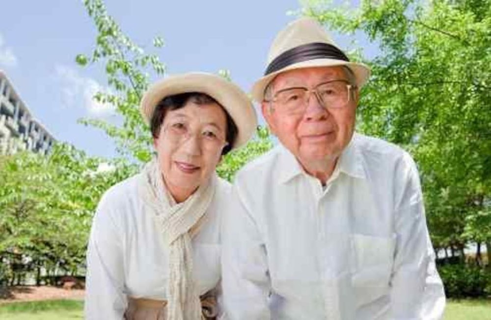 El ahorro y el trabajo: los japoneses y nosotros