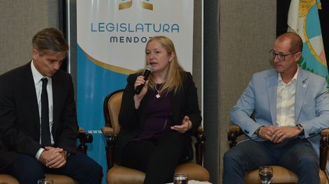 La vicegobernadora Hebe Casado convocó a los abogados que ganaron la demanda judicial contra Manaos.&nbsp;