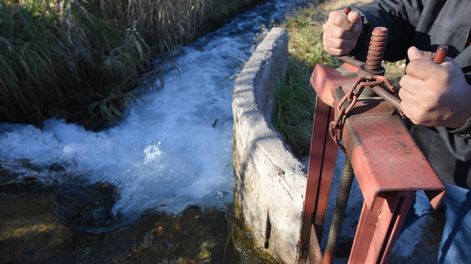 En Mendoza se destina 84% del agua proveniente de varios ríos para riego agrícola, mientras que para el abastecimiento de la población se destina sólo 9% / José Gutiérrez