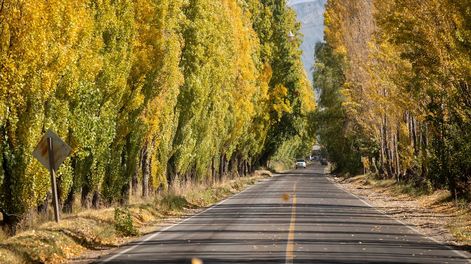 Pronóstico para Mendoza: el soleado y el tiempo agradable marcan el inicio de una semana primaveral. Foto: Ignacio Blanco / Los Andes