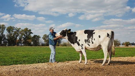 Los Andes | KTQCWKVYGNEQHHZPSLH3SNHQOM.jpg?quality=75&smart=true&auth=ee777e1b30014894aa21b6ff15b1fd93c41e7eef45bf774f9420eb2026b82bc5&width=980&height=640