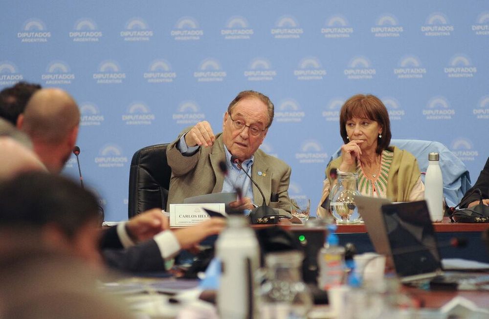 Diputados debaten el acuerdo con el FMI. (Federico López Claro)