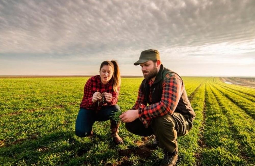 Según un estudio de la Universidad Austral, los estudiantes universitarios de carreras no afines al agro no ven en el sector potencial para su desarrollo profesional. Foto: Clarín