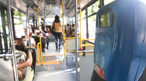 Video: la desagradable sorpresa que descubrió el chofer de un colectivo en Guaymallén. Foto: Imagen ilustrativa (Los Andes)
