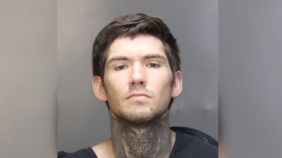 Alexander Alton McDavid fue detenido tras atacar brutalmente a su novia.&nbsp;