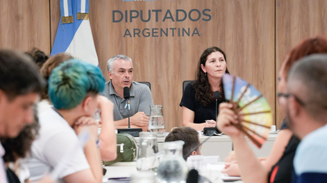 Referentes LGBTIQ+ rechazaron al decreto de Javier Milei en la Ley de Género.