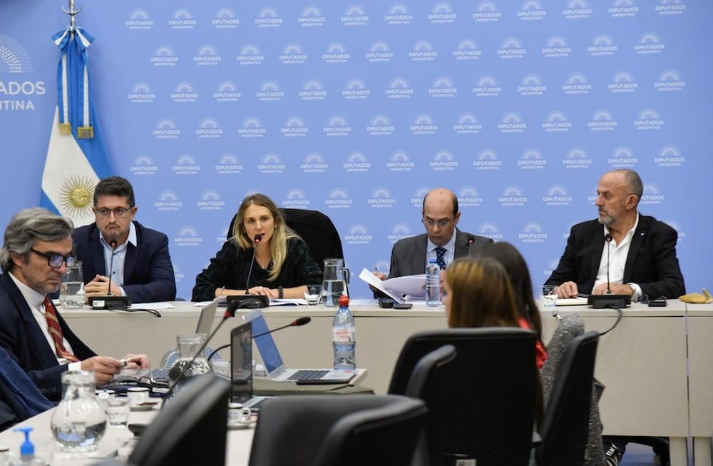 En la Comisión de Previsión y Seguridad Social de Diputados se firmaron tres dictámenes (Foto: HCDN)