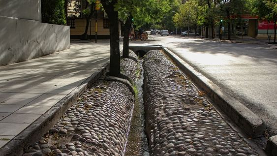 Son un patrimonio de Mendoza, pero nosotros últimamente las usamos para tirar nuestra basura