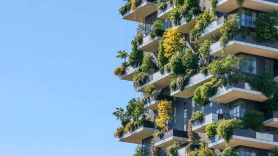 Capacitación sobre ambiente y desarrollo sostenible