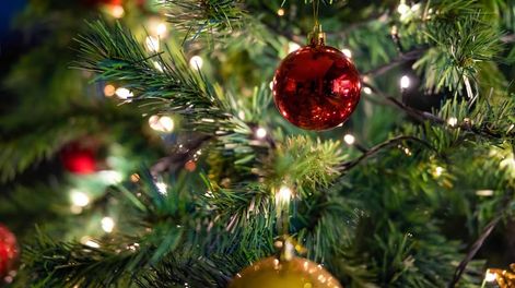 Cómo comprar un arbolito de Navidad en Chile.