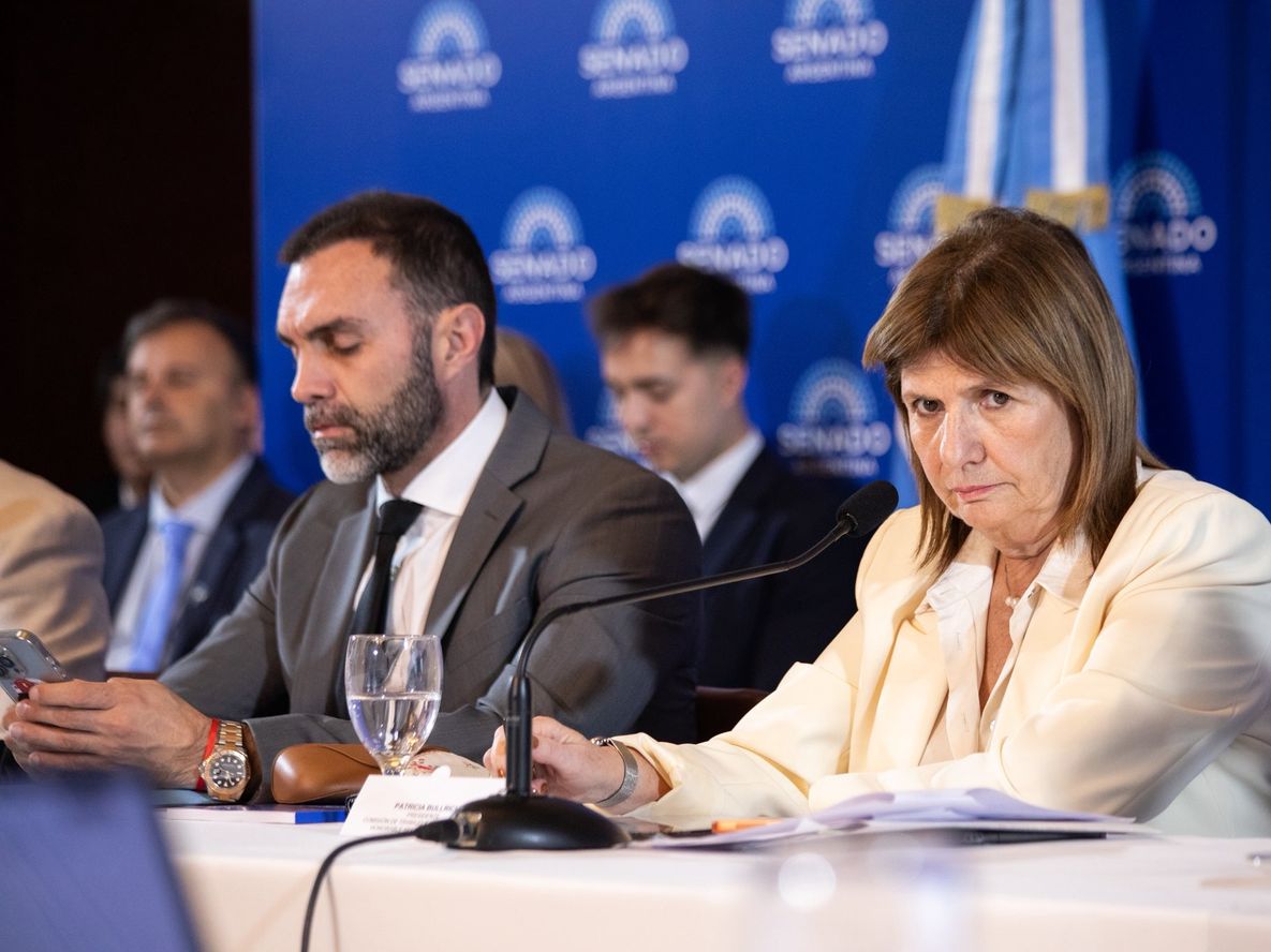 De parte del Gobierno, Patricia Bullrich es la encargada de avanzar con las negociaciones por la aprobación dante los bloques de la UCR, el PRO y sectores provinciales.&nbsp;