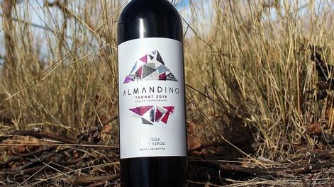 Almandino Tannat 2019 de Bodega Dal Borgo. -Gentileza