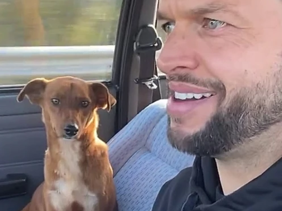 Maikel Alievi rescató a una perrita en medio un torneo.&nbsp;