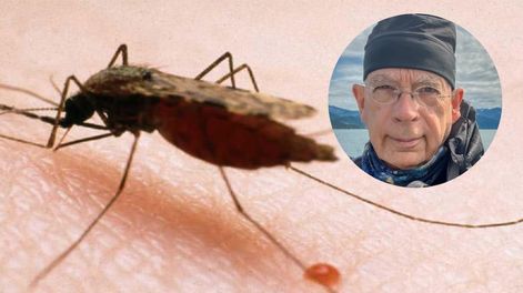 Según se indica en el parte, el paciente llegó a la Guardia del hospital con “fiebre alta, fuerte anemia y un cuadro de hipoglucemia” por lo que debió ser intubado, pero media hora después falleció. Foto: David Kalamazoo en Facebook.