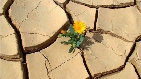 Características de la resiliencia