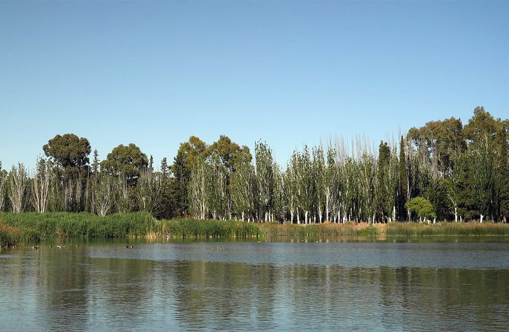 De las 43 hectáreas que rodean al embalse, 10 están cubiertas de verde.