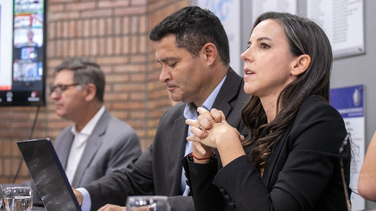 Los tres cambios que impulsa el Gobierno para enfrentar al delito en Mendoza