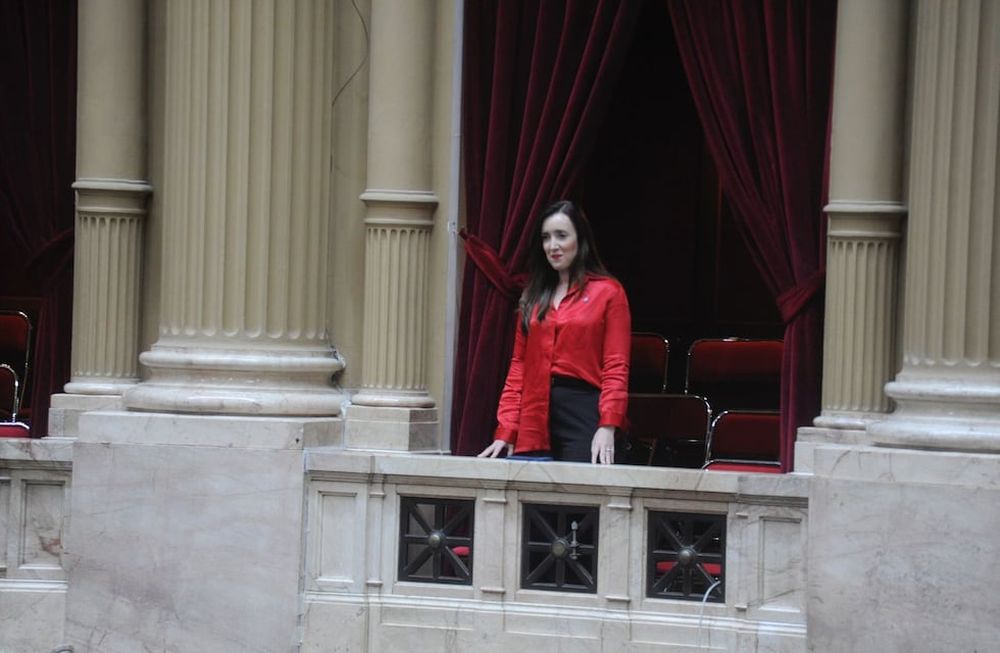La propia Villarruel definió el proceso como la “caza de ñoquis” | Archivo