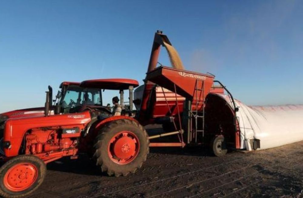 Fuerte expectativa en el campo y la agroindustria por anuncios sobre el “dólar soja”