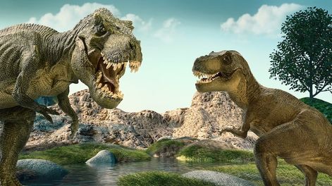 Dinosaurios y otros bichos - Por Rosa Montero