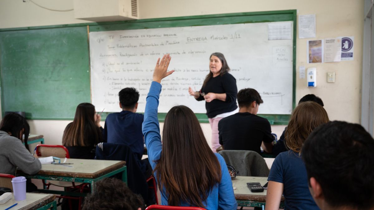 La universidad no puede lo que la escuela secundaria no hizo: el diagnóstico que el debate presupuestario evita