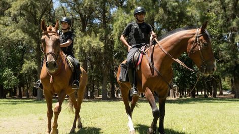 Los Andes | Los efectivos del cuerpo de Policía Montada General Martín Miguel de Güemes custodian los espacios verdes de la provincia, como el parque General San Martín. | Foto: Ignacio Blanco / Los Andes