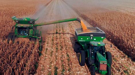 El camino del deseo: Agricultura - Por José Luis Alvarez