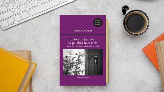 Roberto Juarroz: la palabra necesaria (Libros de Piedra Infinita).