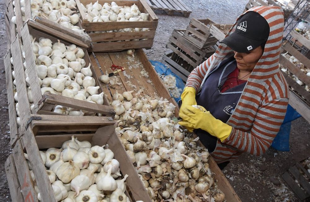 La actual crisis solamente es comparable con la experimentada en 2002 y de acuerdo a algunos indicadores, es aún bastante más profunda. / Gustavo Rogé
