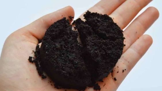 El café dentro del baño ayuda a mantener un espacio más fresco y saludable.