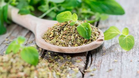 Los Andes | Con el apoyo del municipio y el INTA, la Red San Carlos Produce reúne a 17 empresas y productores locales. En menos de un año generaron $ 1,5 millón en ventas, y van por más.