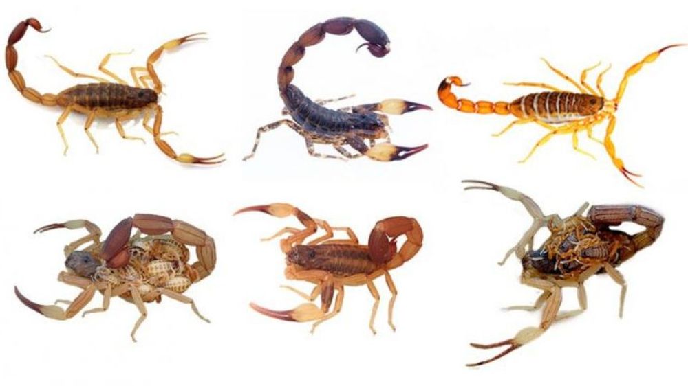 Презерватив фетиш Орыс лесбиянки фильмдері онлайн