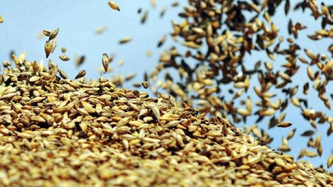 La transformación de los grandes “traders” de granos - Por Jorge Castro