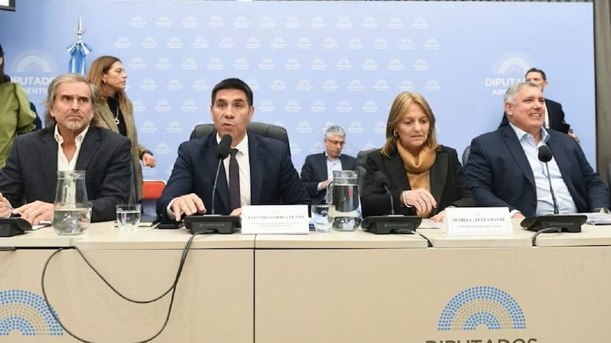 Avanza el recorte de subsidios al gas: el oficialismo logró dictamen para reformar el régimen de 