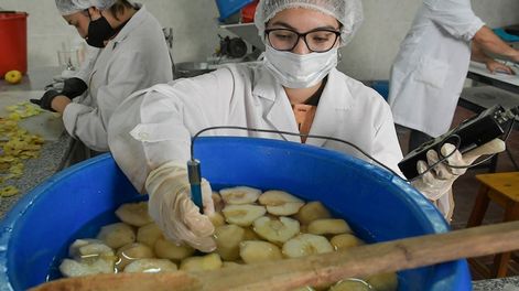 Los Andes | Alumnos del sexto año de Practicas Profesionalizantes de producciones agropecuarias de la Escuela 4 -062 profesora Juana Beatriz Albornoz de Cortes. Foto: Orlando Pelichotti  /Los Andes